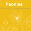 Peonies: How to create a personal cutting garden