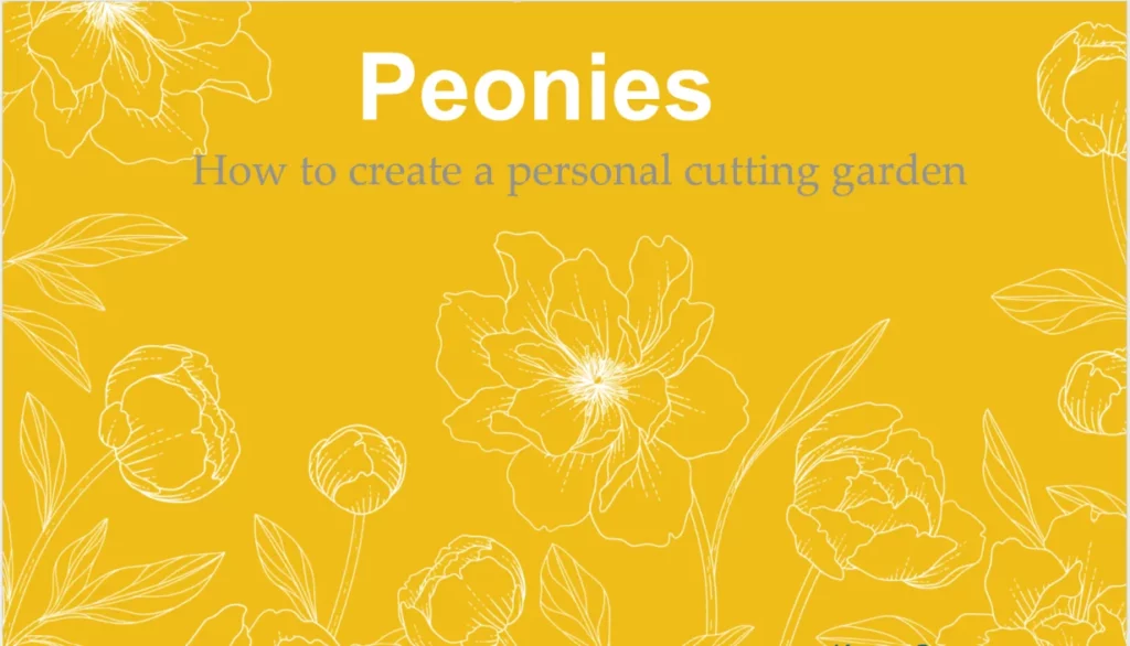 Peonies: How to create a personal cutting garden