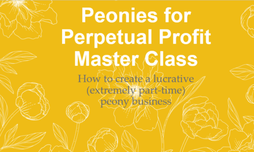 Peony Business Masterclass